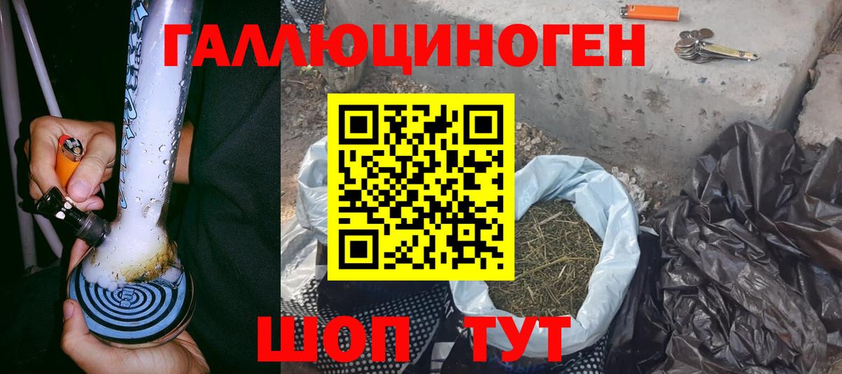 Псилоцибиновые грибы GOLDEN TEACHER  Псилоцибиновые грибы Cubensis  Вход с VPN  где найти наркотики  Новоуральск 